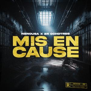 Mis en cause (feat. Zr ochotrès)