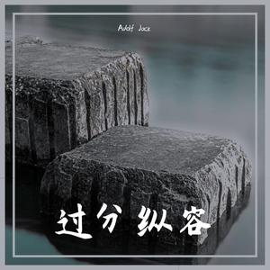 邓岳章 - 过分纵容(Adolf Jack Remix)