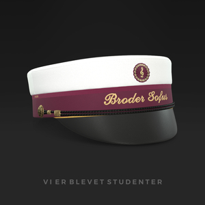 Vi Er Blevet Studenter