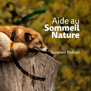 Birds in the Background