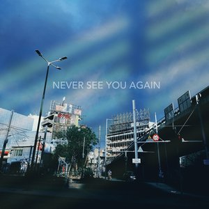 Never See You Again