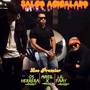 Salgo Acicalado (feat. Lil Faay, Os Herrera & Maeil X)