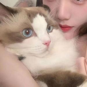 勇敢额度     小橘zi_