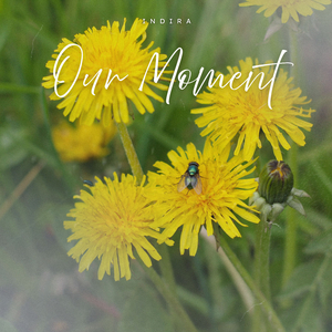 Our Moment (Radio Edit)
