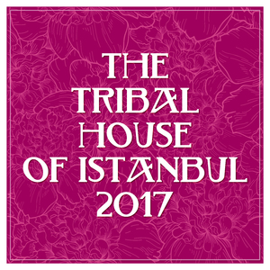 The Jungle (Instrumental Mix)