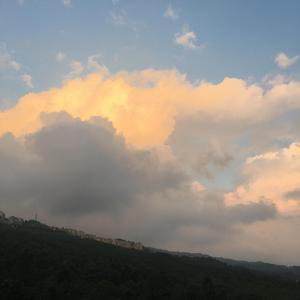 十七岁的时光不说谎