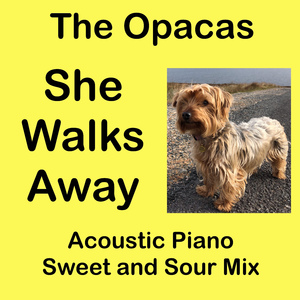 She Walks Away (Acoustic Piano Sour Mix)