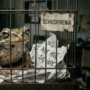 Schizofrenia
