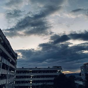 个人简介（Live）