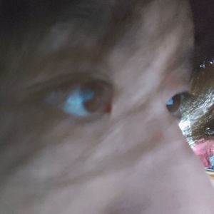 草莓果酱（Prod by TuesdayBeats）