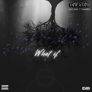 What If? (feat. Chris Camp & ThaManCub)