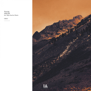 Modir (Original Mix)