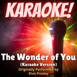The Wonder of You (Karaoke Version Originally Performed by Elvis Presley)