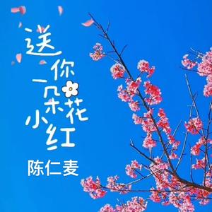 《送你一朵小红花》（吉他纯净版）（翻自 赵英俊）