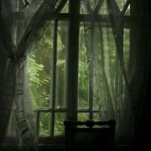 bury me in disbelief