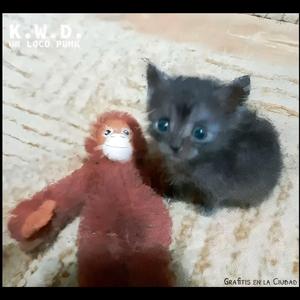 Grafitis en la Ciudad (Mix B)