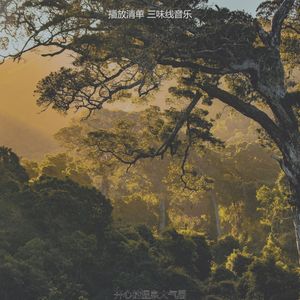 抚慰的温泉回忆