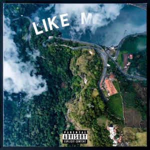 Like Me (feat. 2rareskie & LilTee)
