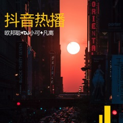 重低音车载摇不嘛不嘛耶