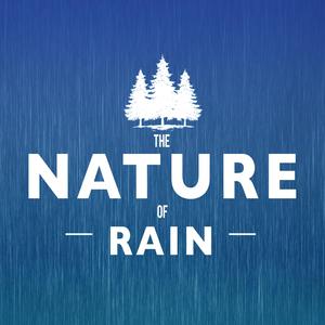 Rain on the Pane