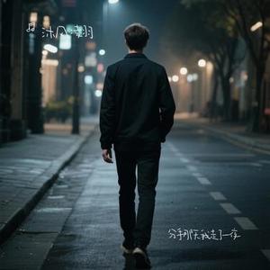 分手那天我走了一夜
