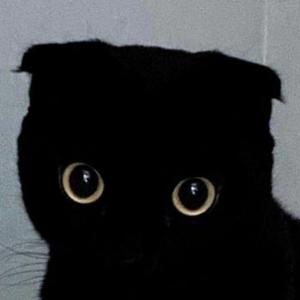 那个夏天-衬衫的价格是九磅十五便士（by炎炎 remix）