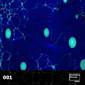 Distant Reflections (Extended Version)