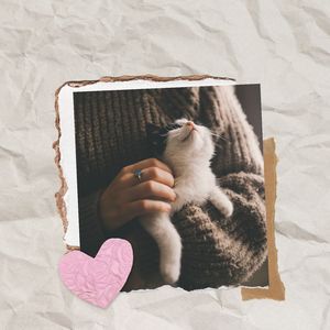 爪子与和平 (循环序列)