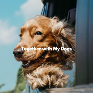 Romantic Doggy Tails