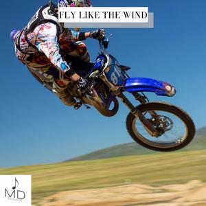 Fly Like The Wind