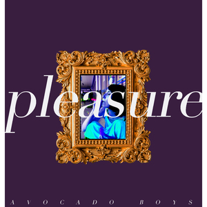 pleasure