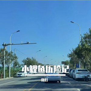 小鲤鱼历险记 (洛天依 ver.)