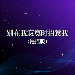 别在我寂寞时招惹我（慢摇版）
