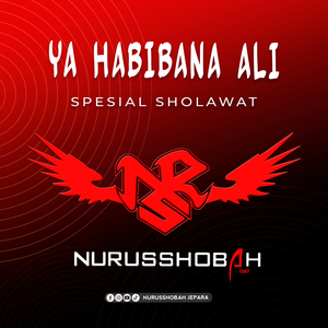 Ya Habibana Ali (Cover Syifaun Nada)