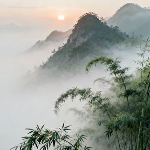 月下独白