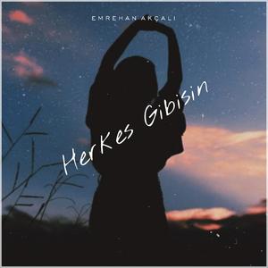 Herkes Gibisin (Remix)