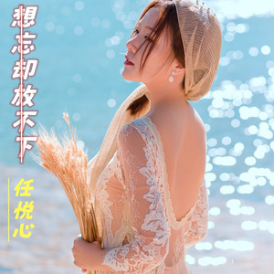 想忘却放不下 (DJ佐罗)