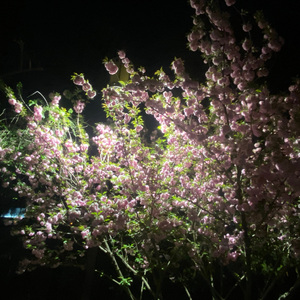 遇见（prod by Lyoung）