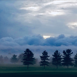 Something InThe Way She Whispers