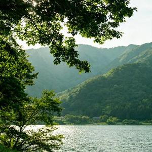 人海回声