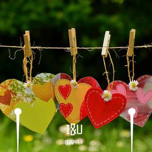 我怕的不是冷QQAPPLE_Master