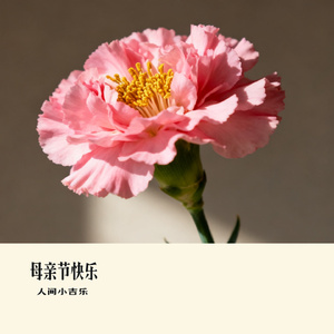 母亲节快乐