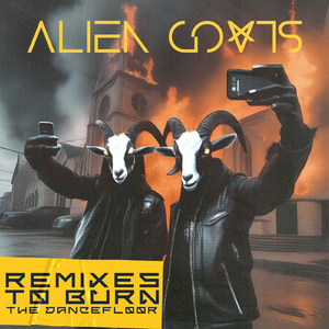 La Noche Infinita (Alien Goats Remix)
