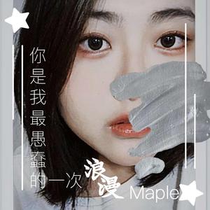 你是我最愚蠢的一次浪漫