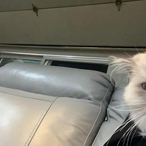 Its 4am and i miss u