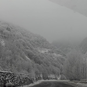 长大不再被左右