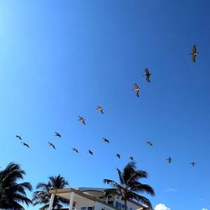 Avicii-Waiting For Love（明洋 remix）