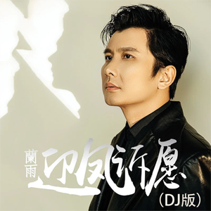 迎风诉愿（DJ版）
