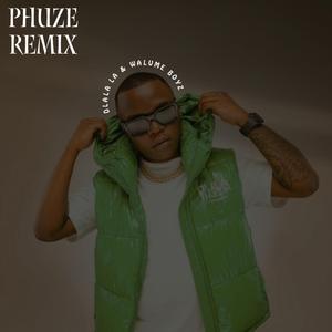 Phuze (feat. Walume Boyz) (Remix)