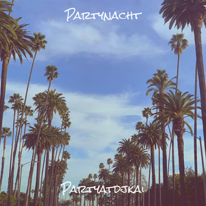 Partynacht